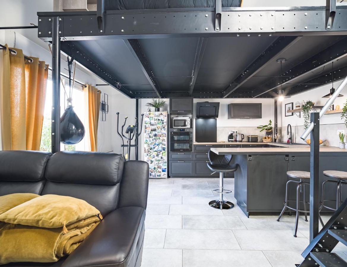 Loft Avec Jardin Et Parking Prive Apartment Troyes Luaran gambar
